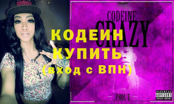 шишки Карпинск
