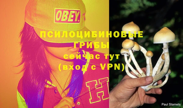 кристаллы Каменка
