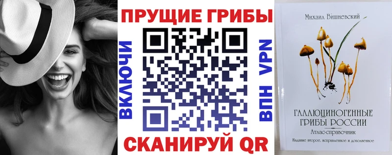Псилоцибиновые грибы Psilocybe  Купить закладки  Кимовск 